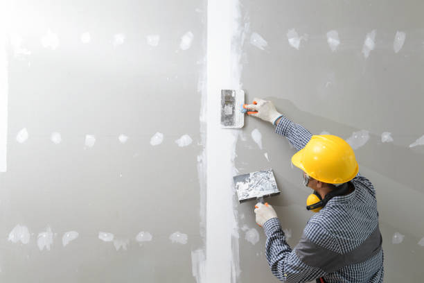 Best Wallpaper Removal and Painting  in Fort Montgomery, NY